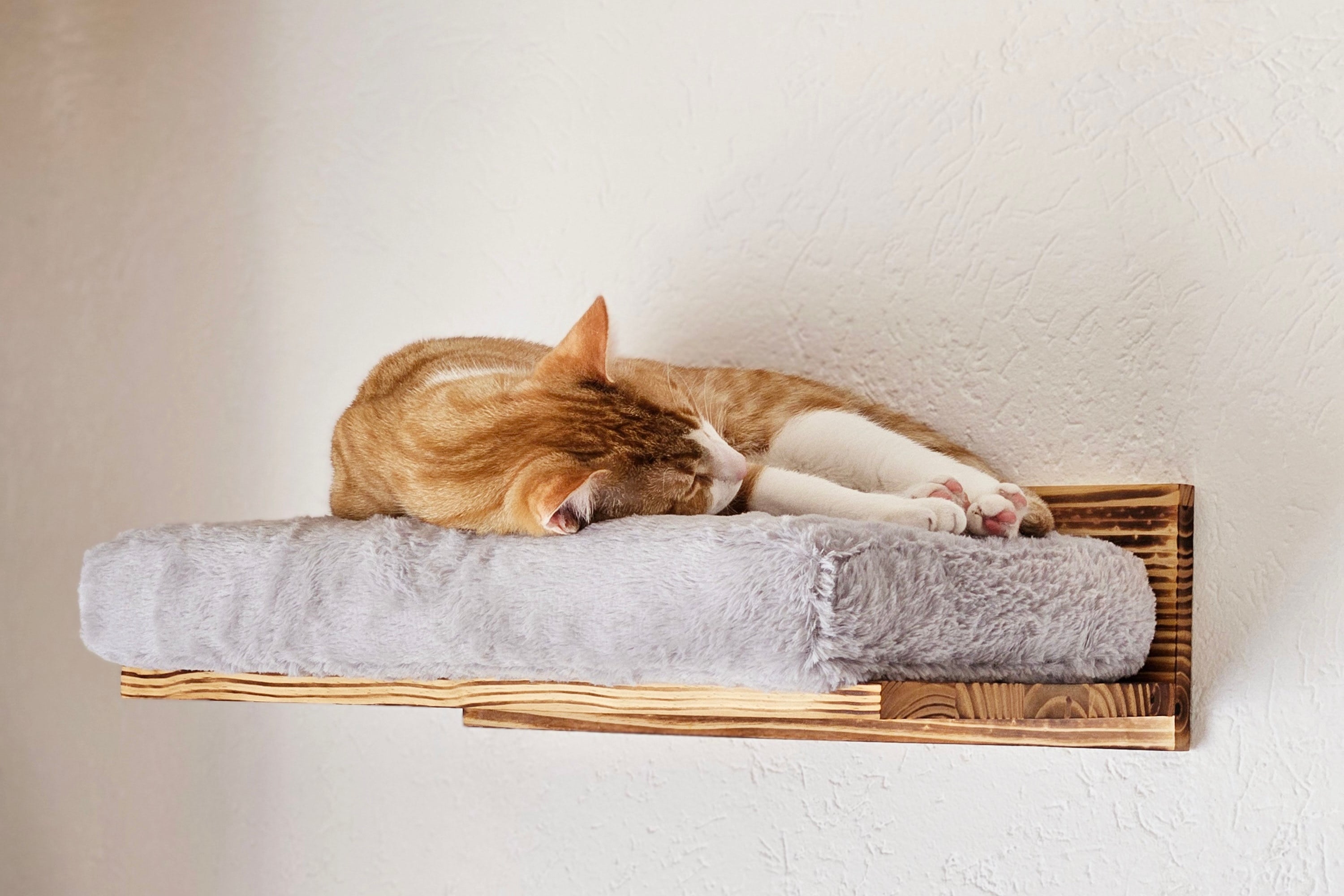 Om weg te dromen - bed voor aan de katten klimmuur