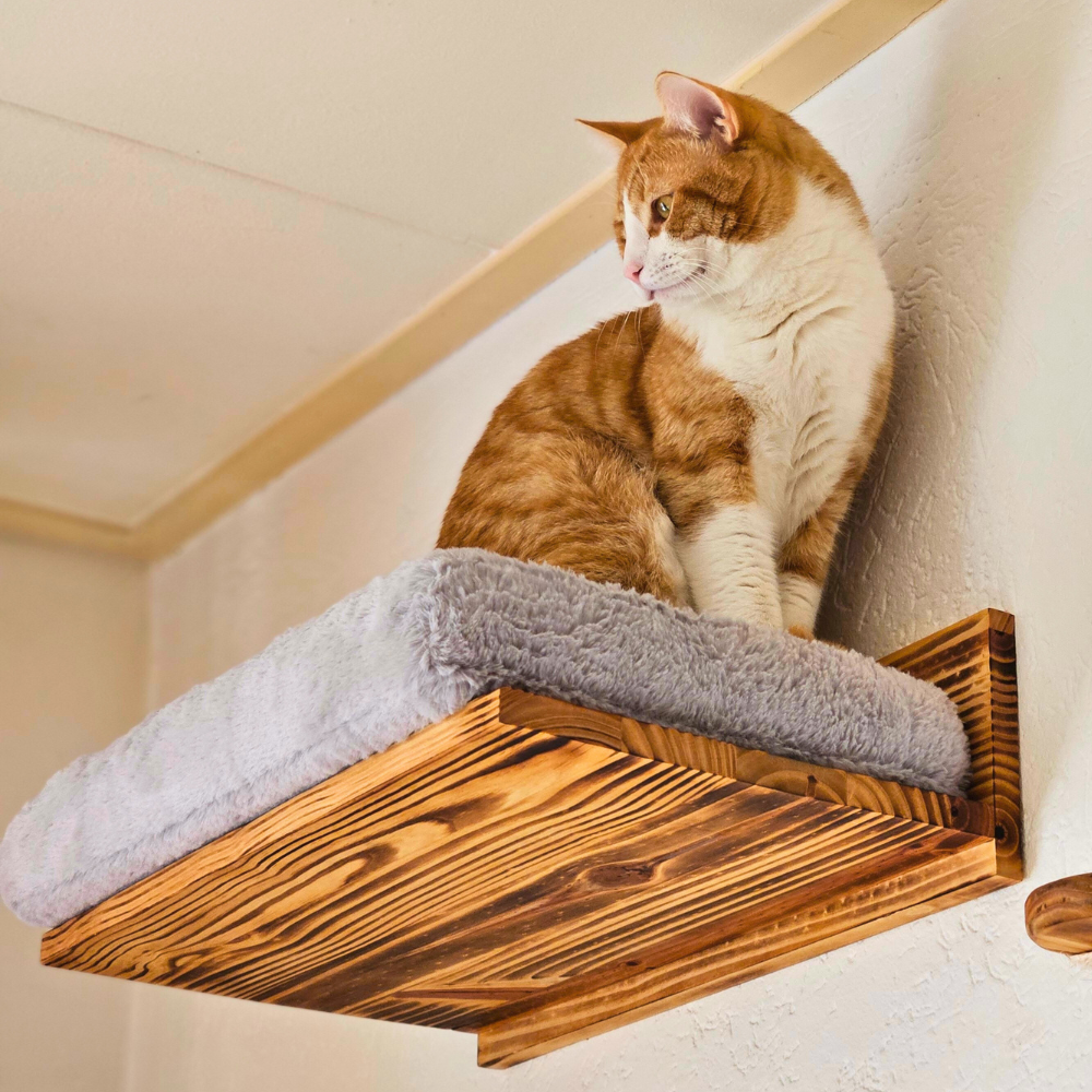 Kattenbed wandmontage Pawkour