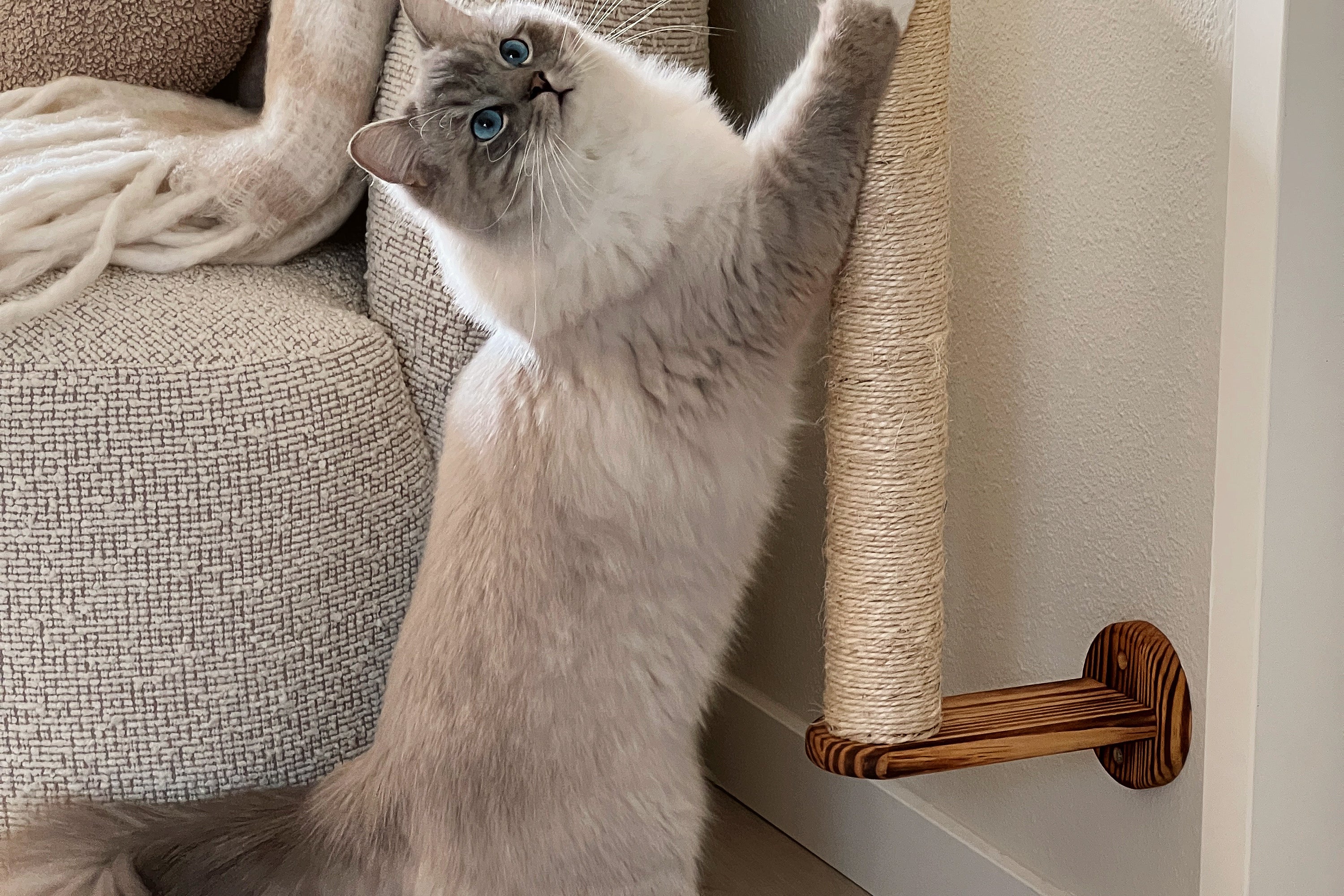 Krabpaal voor aan de muur