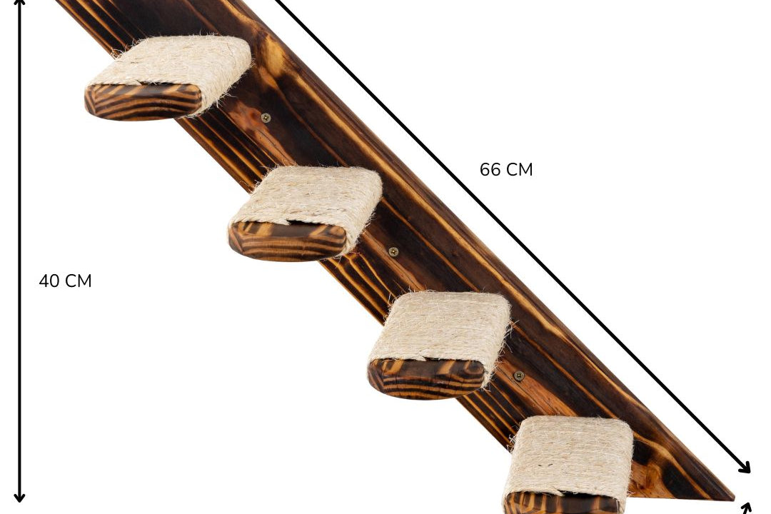 Maten kattentrap Pawkour