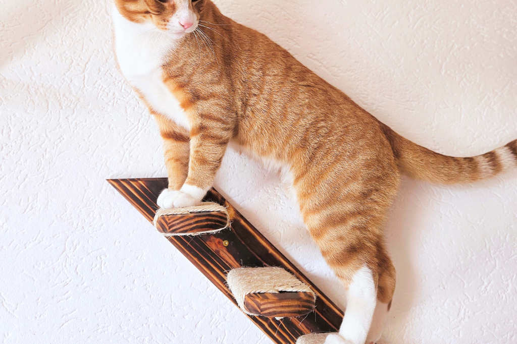 Purrfect playtime set kattentrap Pawkour