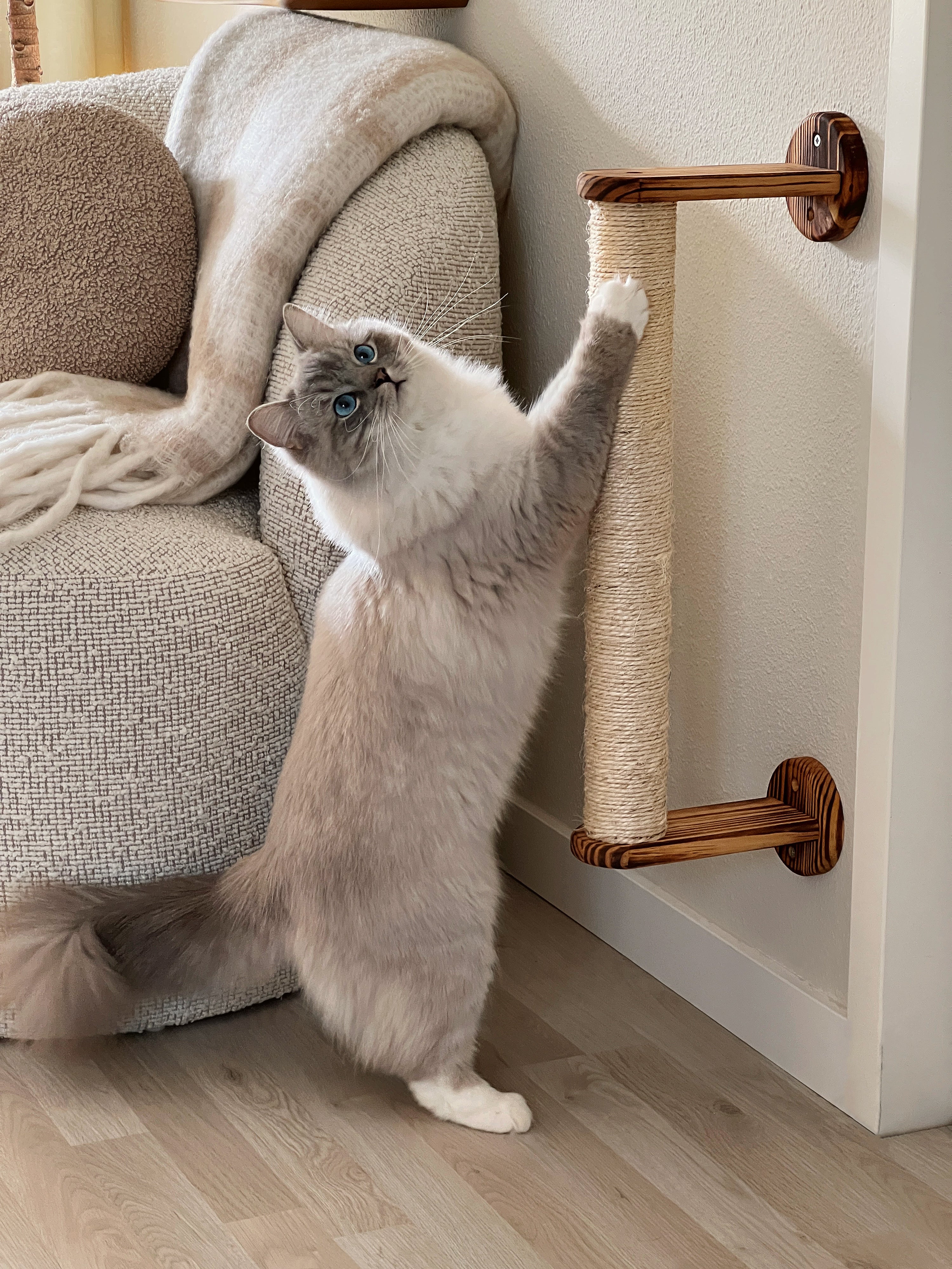 Krabpaal voor aan de muur